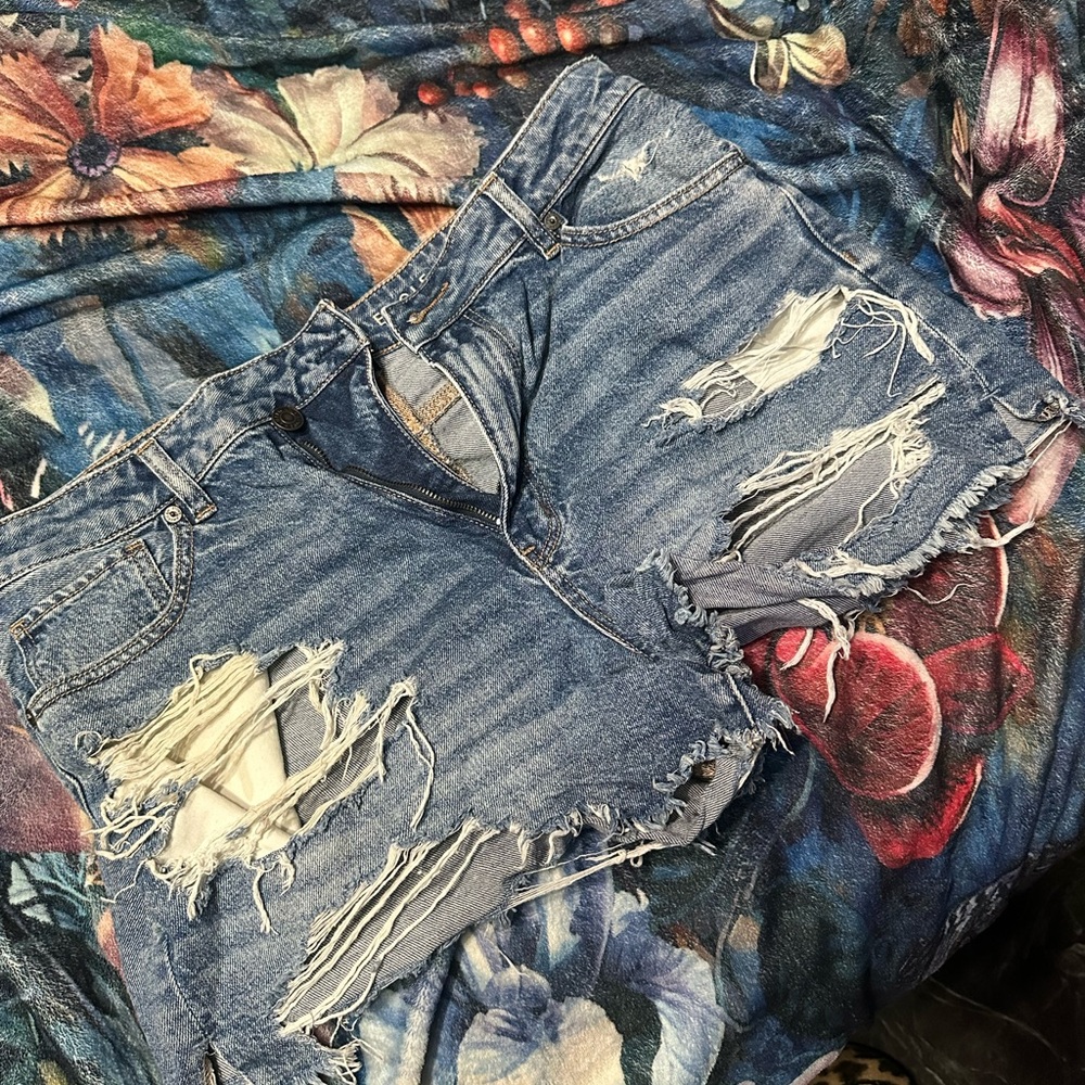 American Eagle Outfitters Blue Distressed Jean Shorts